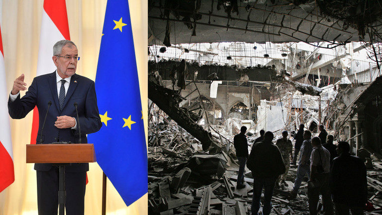 Click to enlarge Alexander van der Bellen, ruins of Saddam Hussein's palace