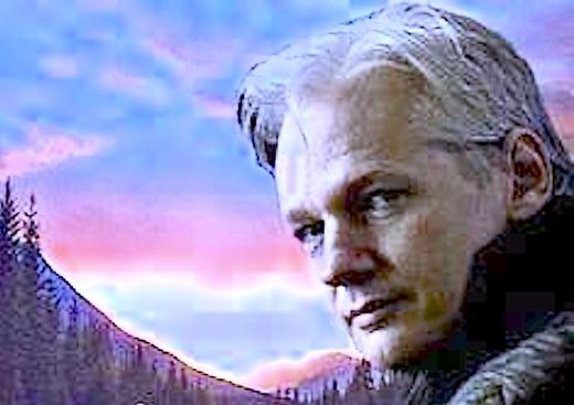 Assange