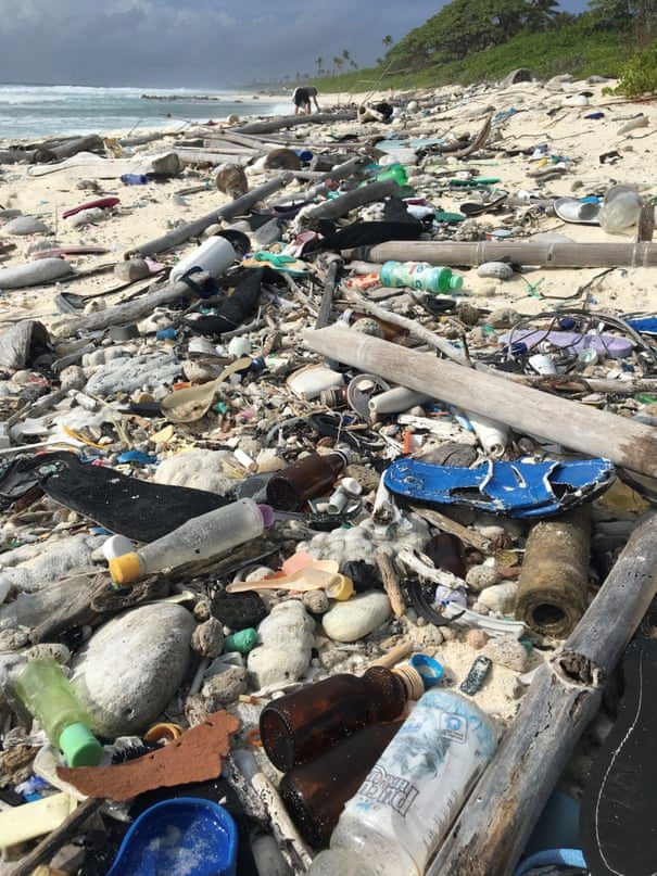 Garbage on South Island