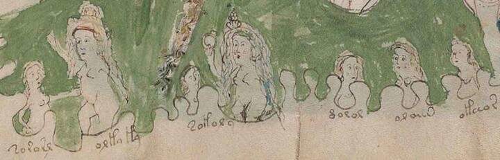 Click to enlarge Voynich manuscript
