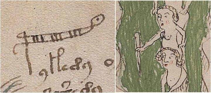 Voynich manuscript