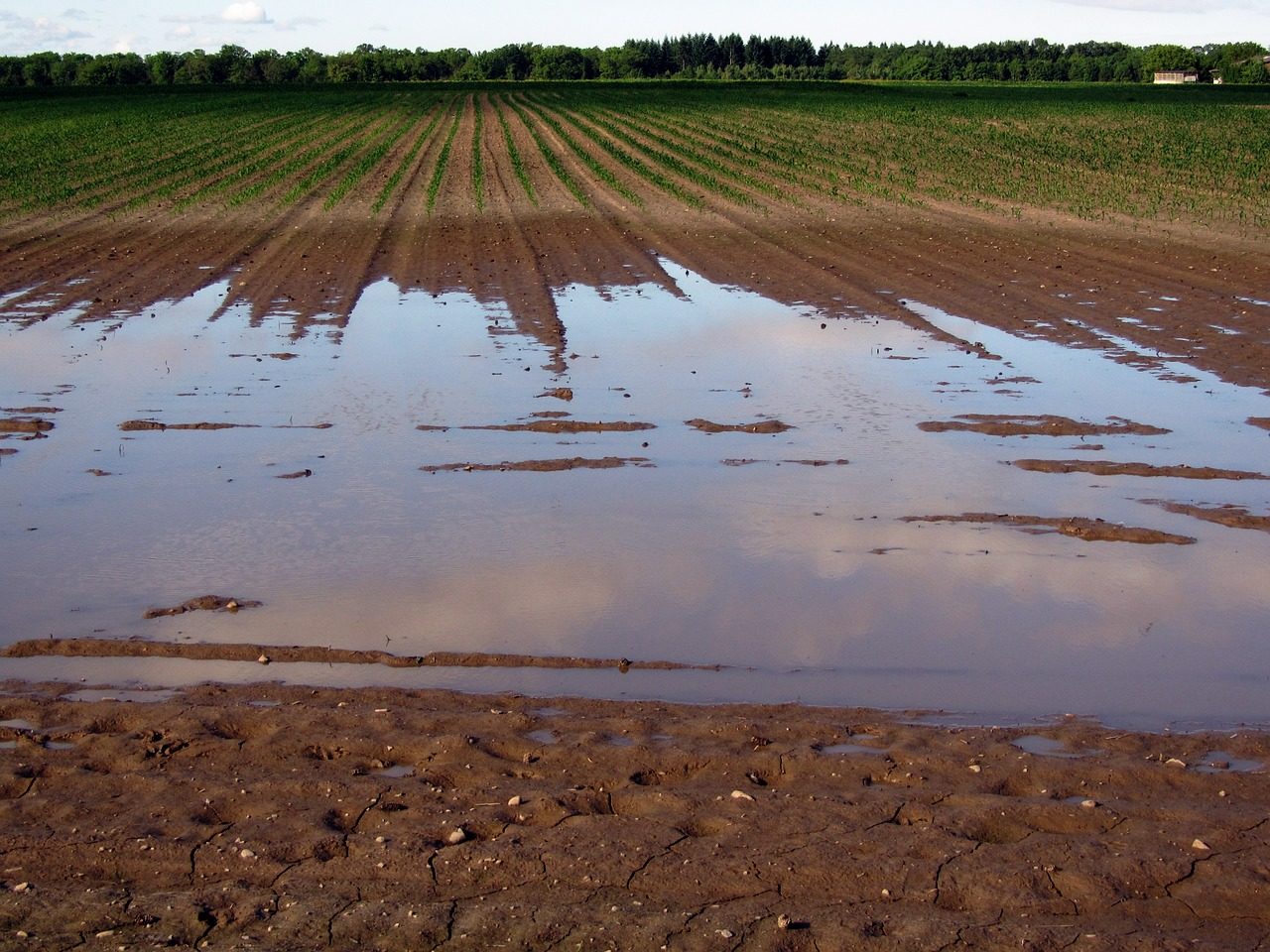 Click to enlarge flood