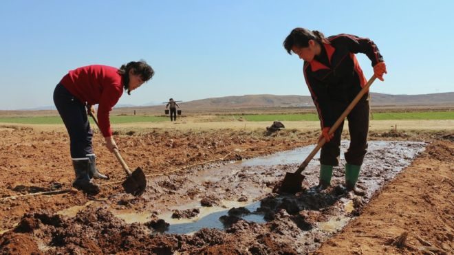 North Koreans have been told to protect farm fields after crops were affected with record lows in rainfall