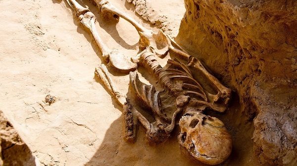 Skeletal remains