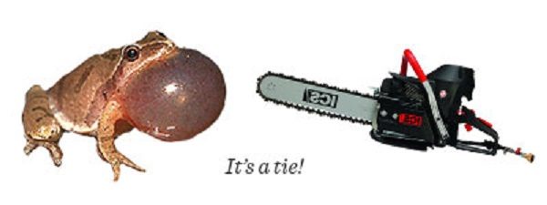 Click to enlarge Peeper and chainsaw