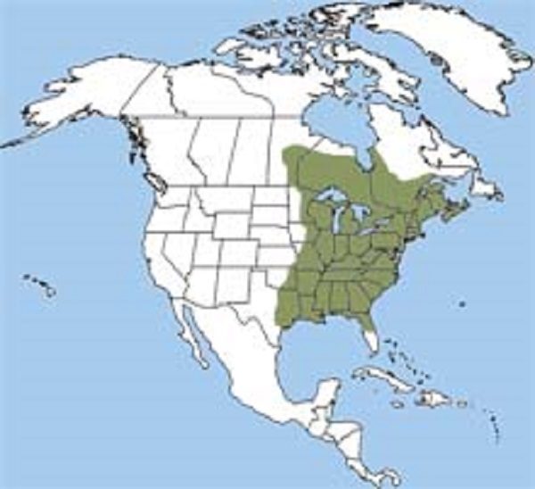 Click to enlarge Spring Peepers map