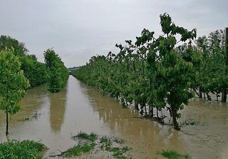 flood