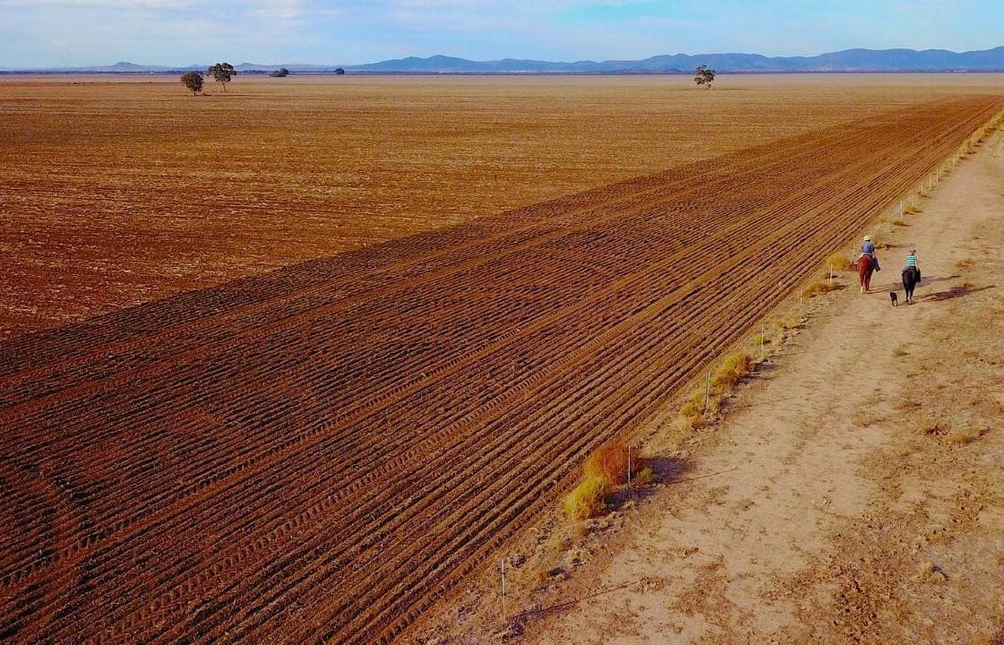 drought