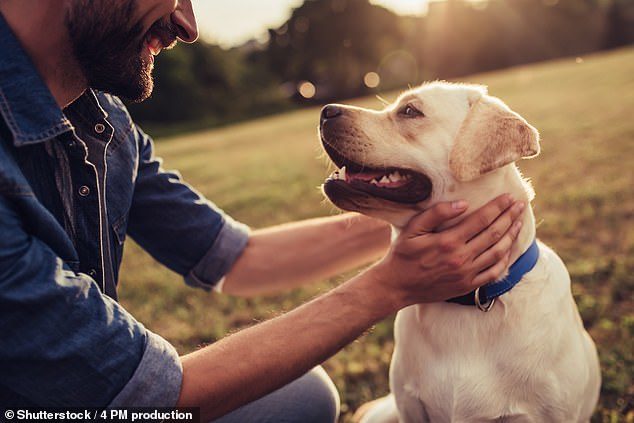 Click to enlarge man dog