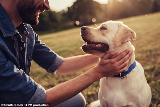 Click to enlarge man dog