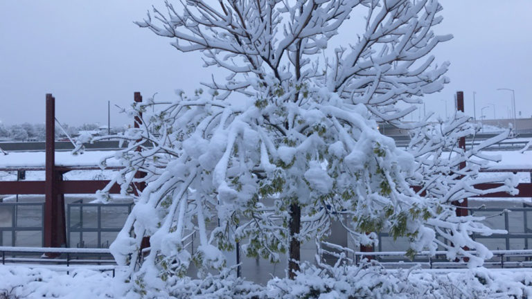 Snow in Superior by Highway 36 after daybreak