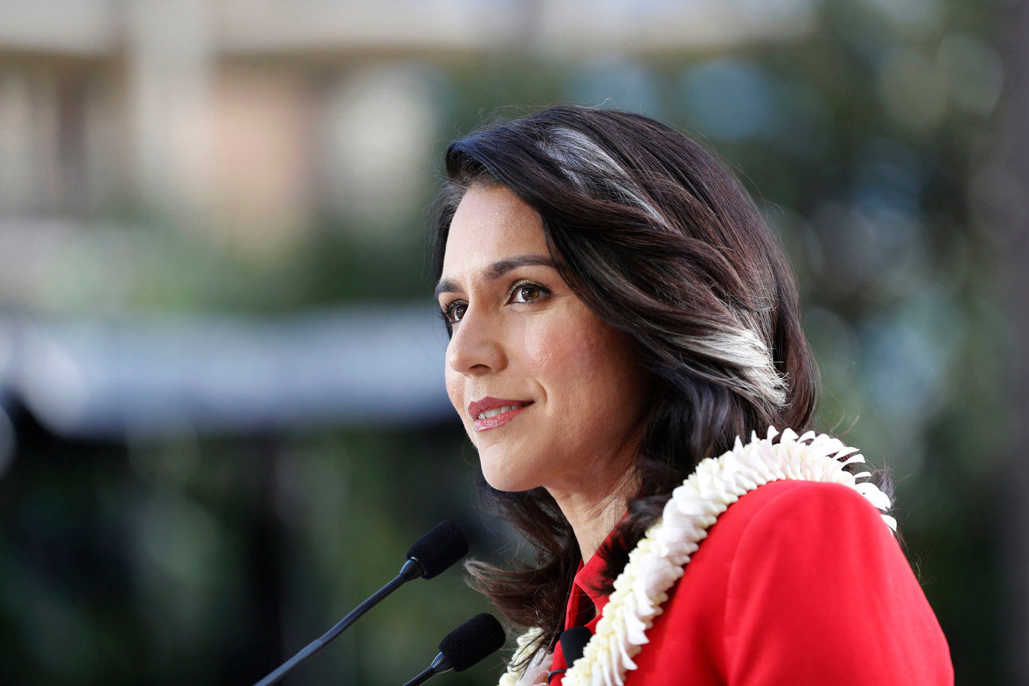 Click to enlarge Tulsi Gabbard
