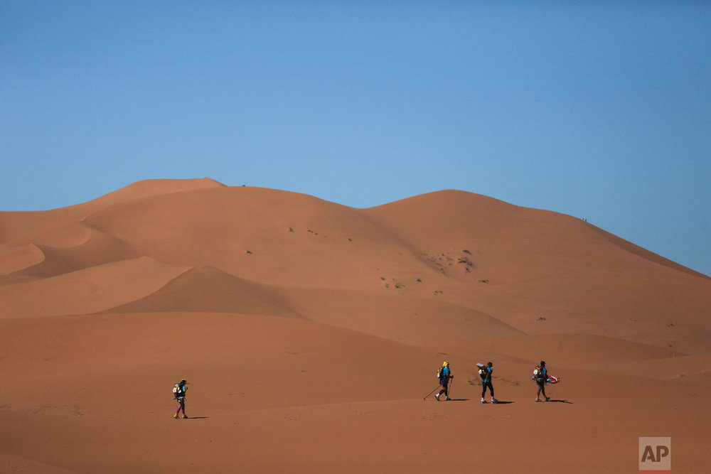 Libyan Desert