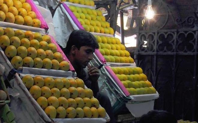 Apart from UP, lower output is seen in key growing areas of Gujarat, Maharashtra also