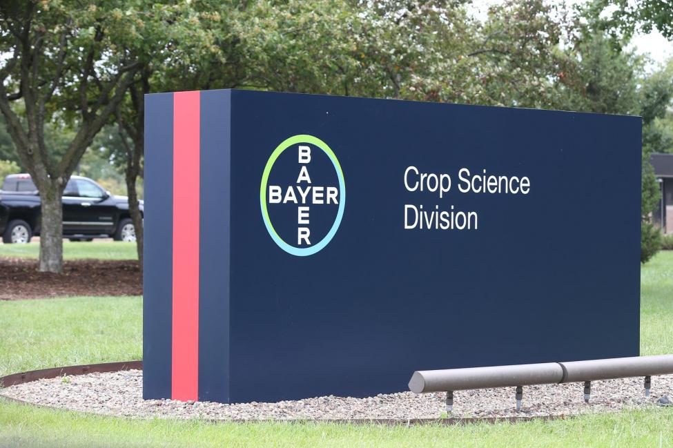 Click to enlarge Bayer