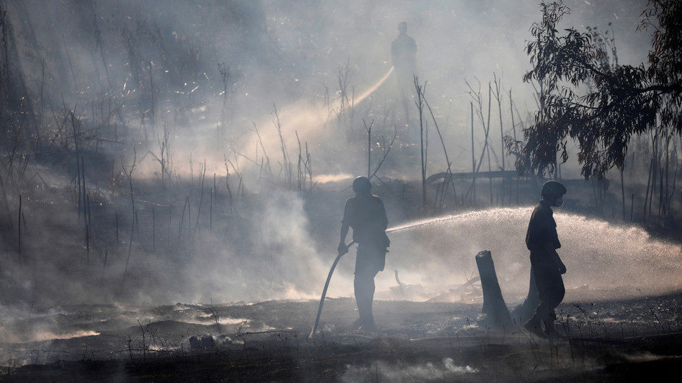 israeli wildfires