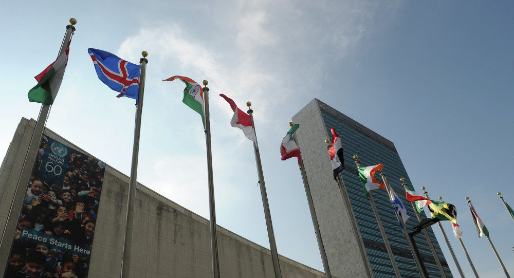 UN Flags