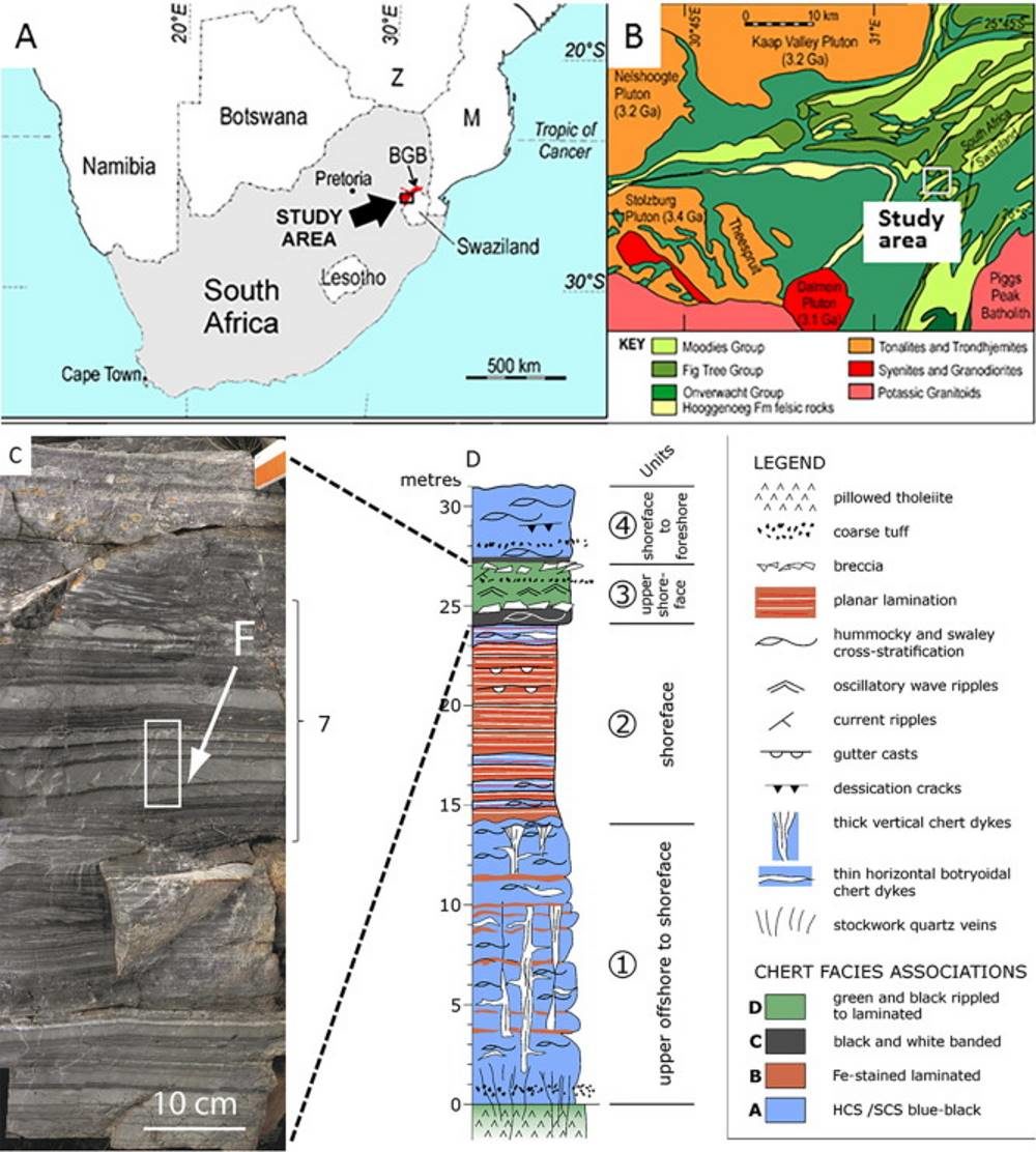 Click to enlarge organic molecules ancient earth south africa