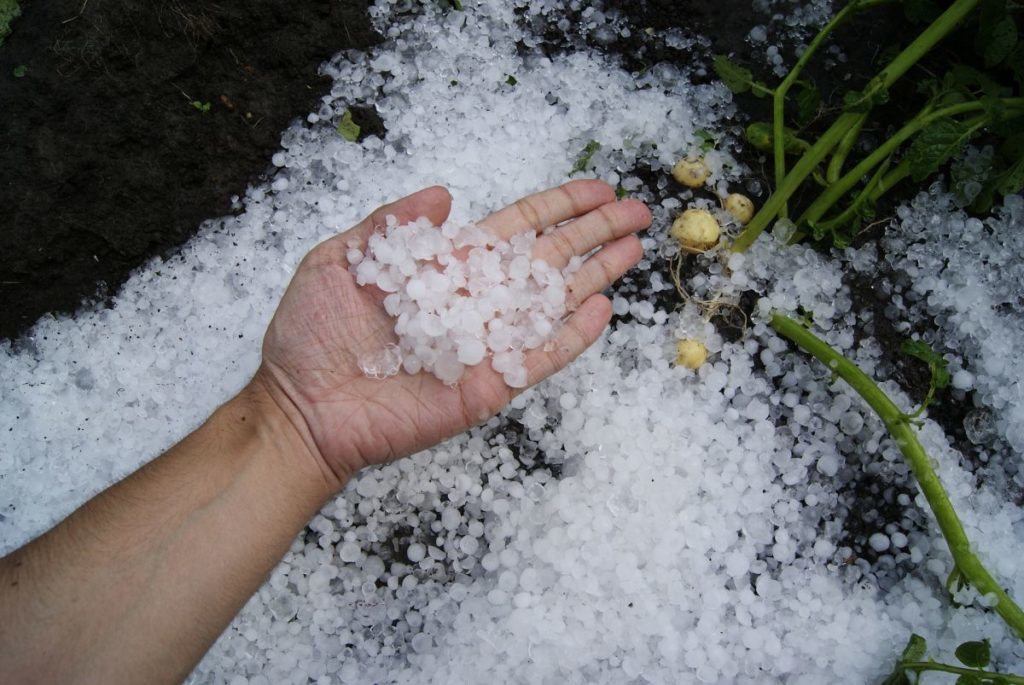 Click to enlarge hail