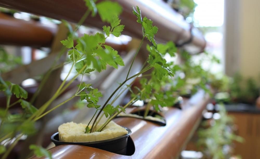 soil-free farming