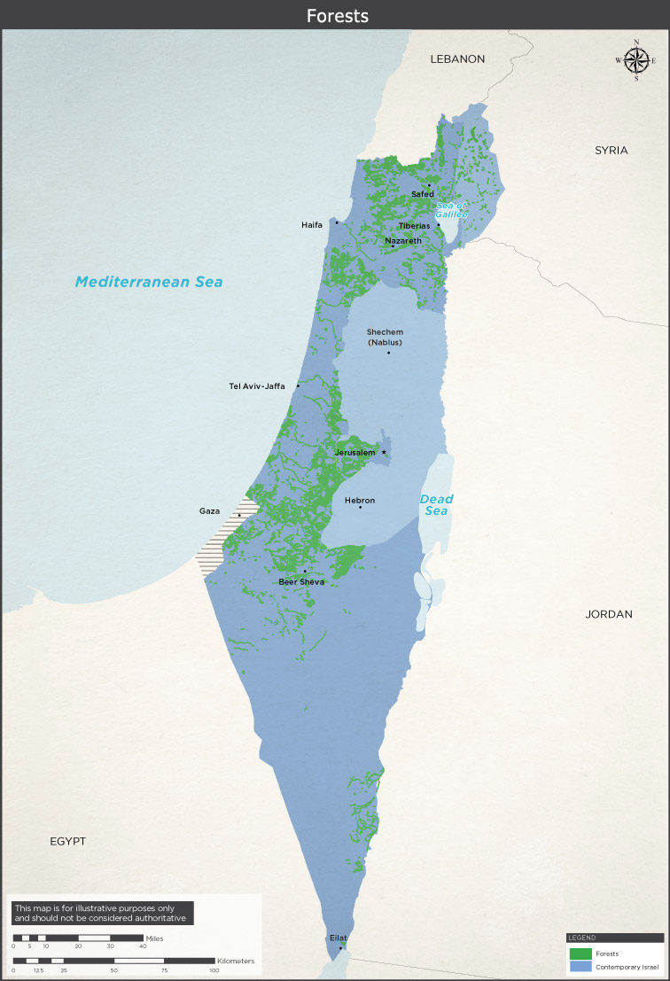 forests israel hide Arab villages