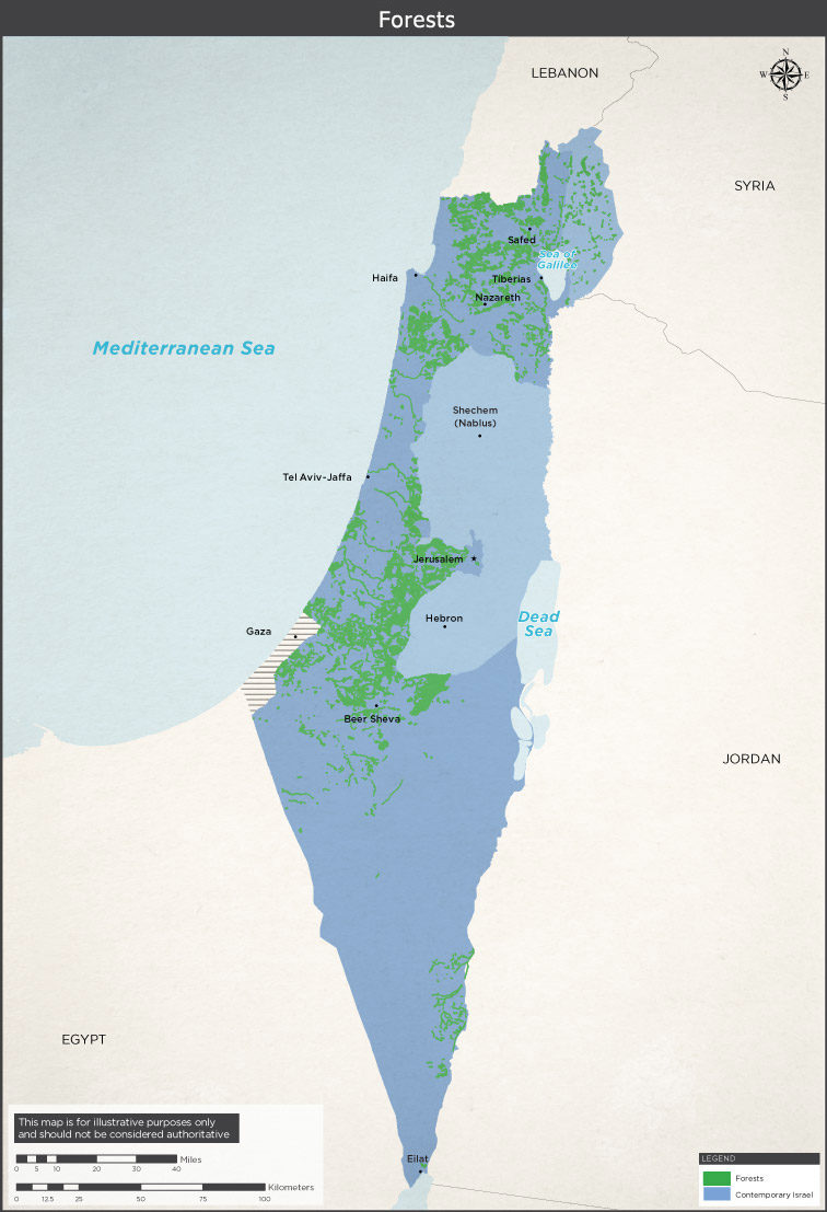 Click to enlarge forests israel hide Arab villages