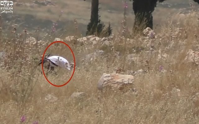IDF soldier setting Palestinian field ablaze