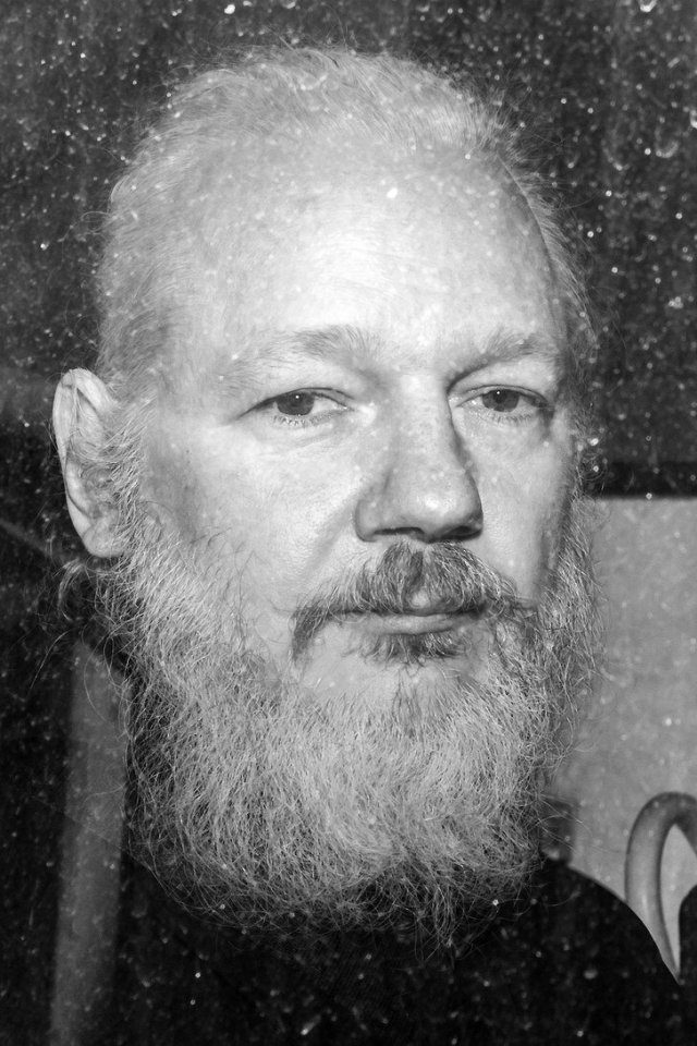 Click to enlarge Julian Assange