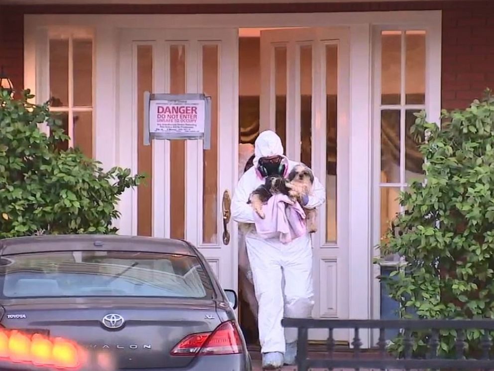 Click to enlarge 136 dogs removed from SoCal home