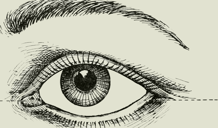 Click to enlarge Eye Movement