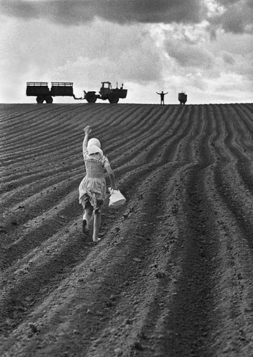 Click to enlarge Plowing time