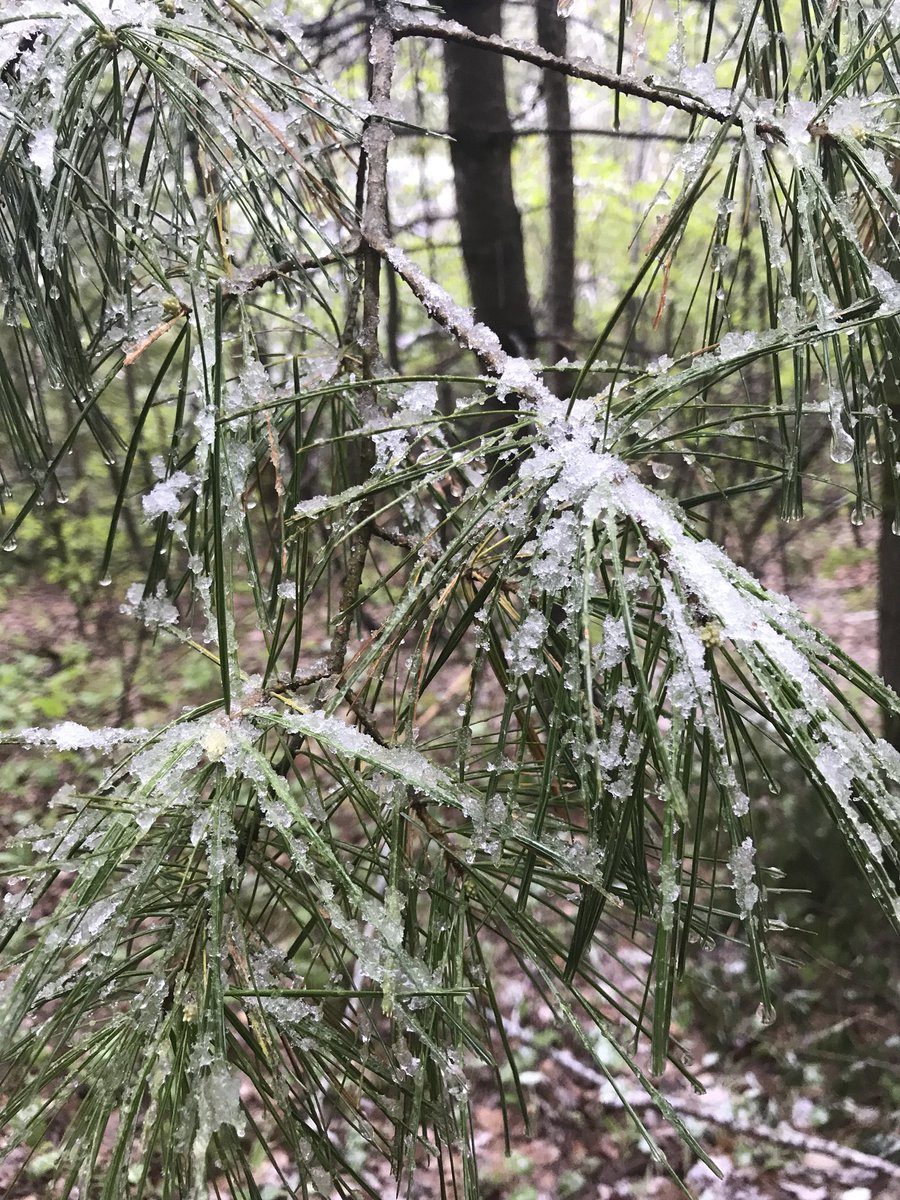 SNOW