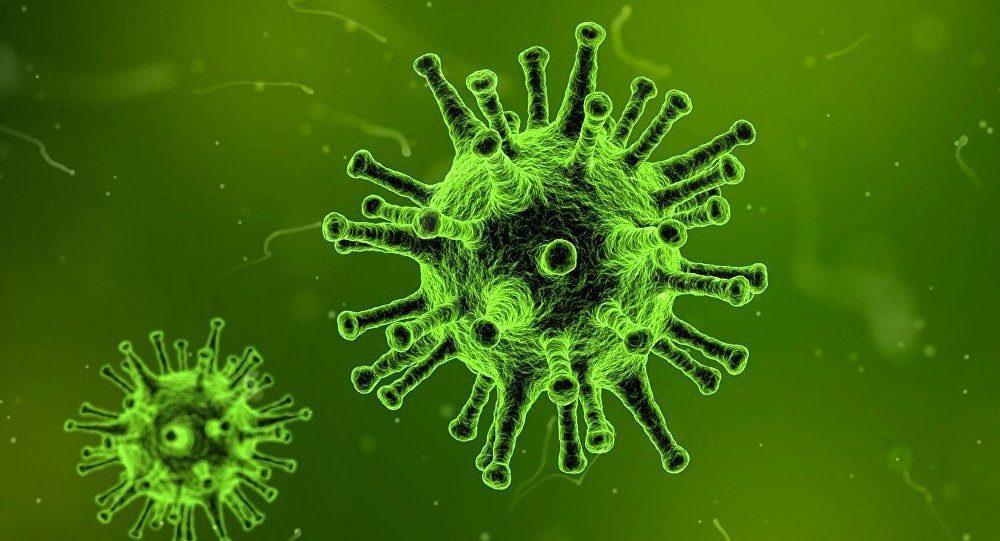 virus