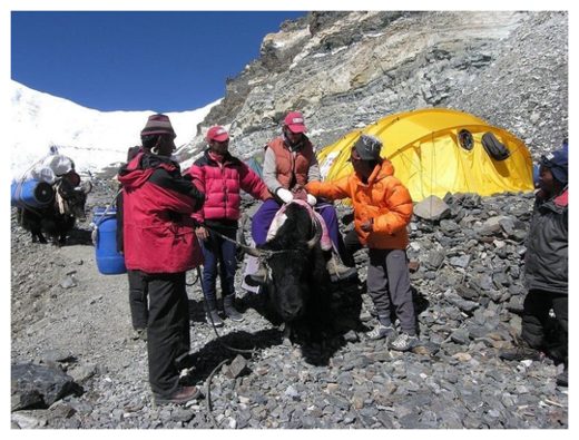 Click to enlarge Mountaineers