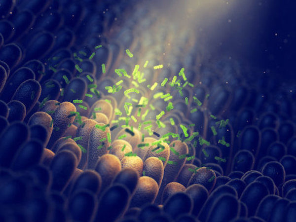 Click to enlarge Gut microbes illustration.