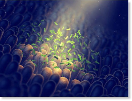 Gut microbes illustration.