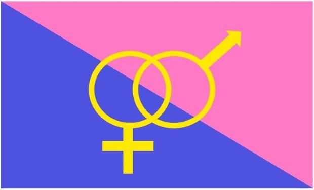 straight pride flag