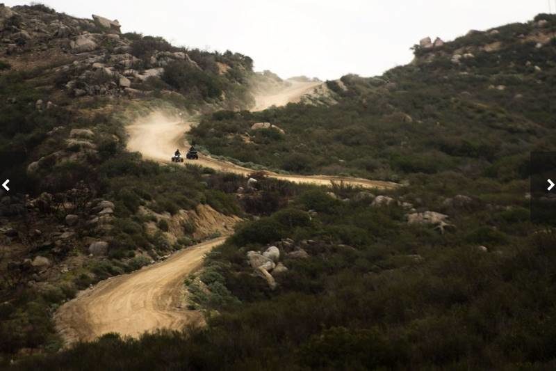 border patrol california