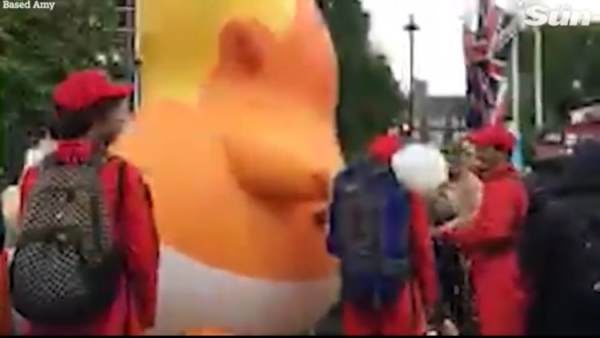 Trump baby blimp punctured