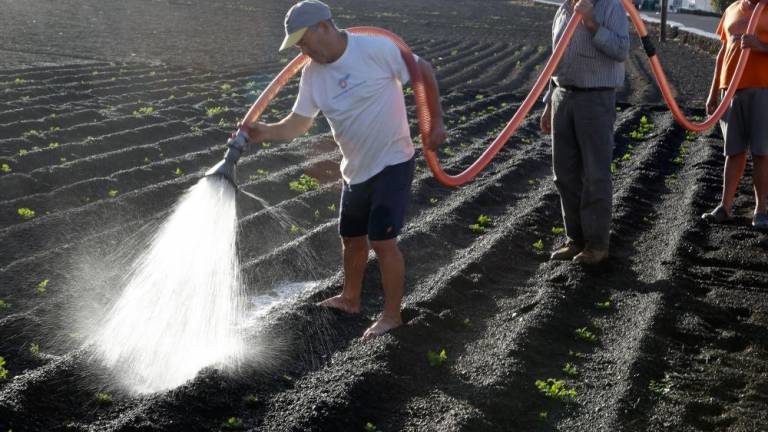 Farmers irrigating with water from a tank to alleviate the effects of the drought that affects the island this year, and because the irrigation water from Canal Gestión is not guaranteed to all areas of the island.