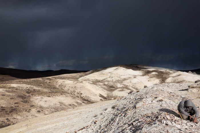 patagonia fossil site