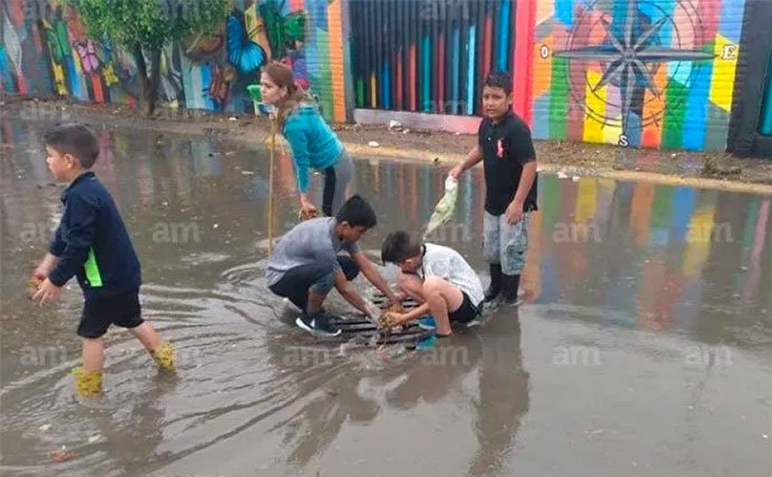 Click to enlarge Children clear a plugged drain on a León street.