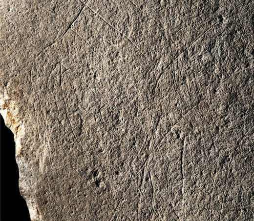 prehistoric horse france