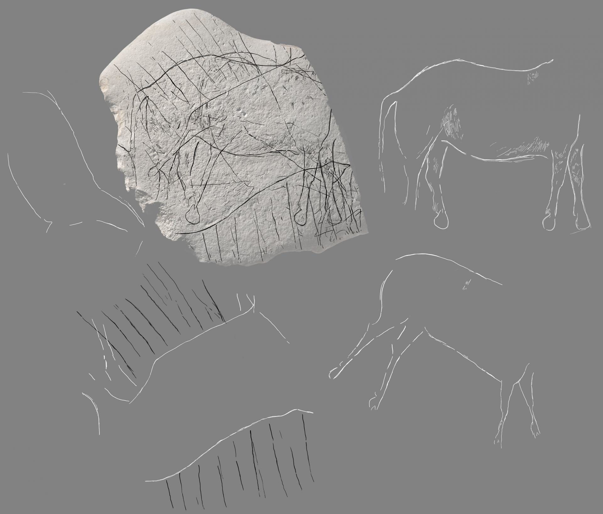 horse prehistoric france