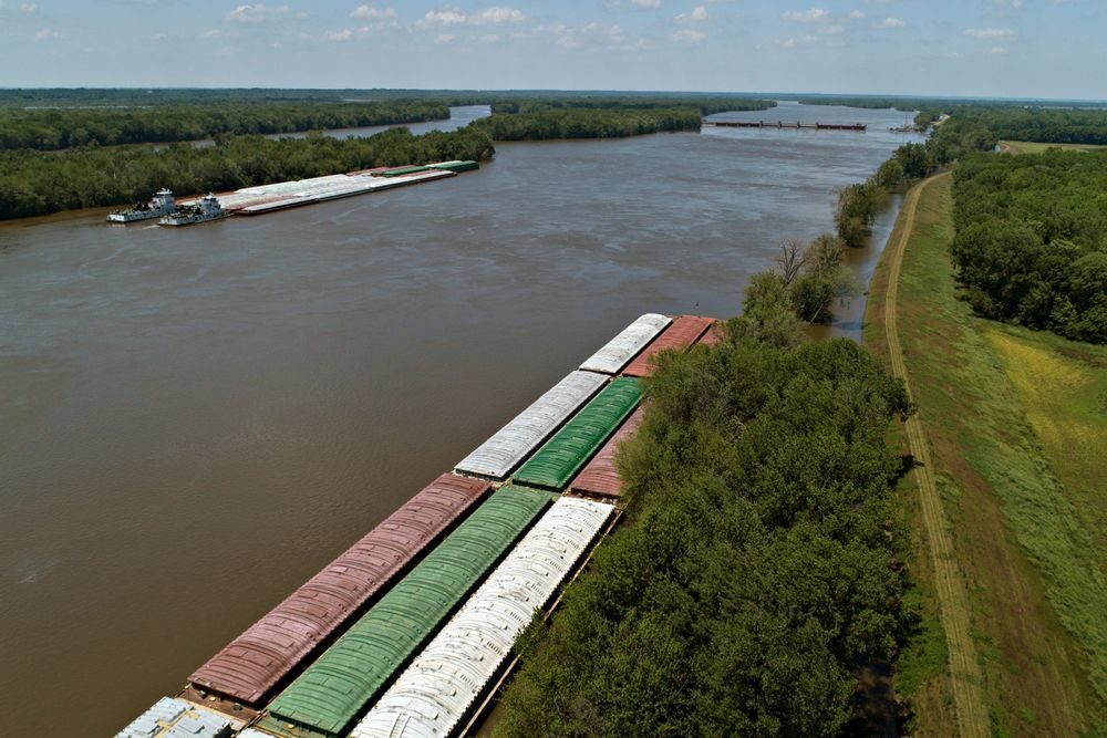 Barges sit along the shores of the Mississippi River