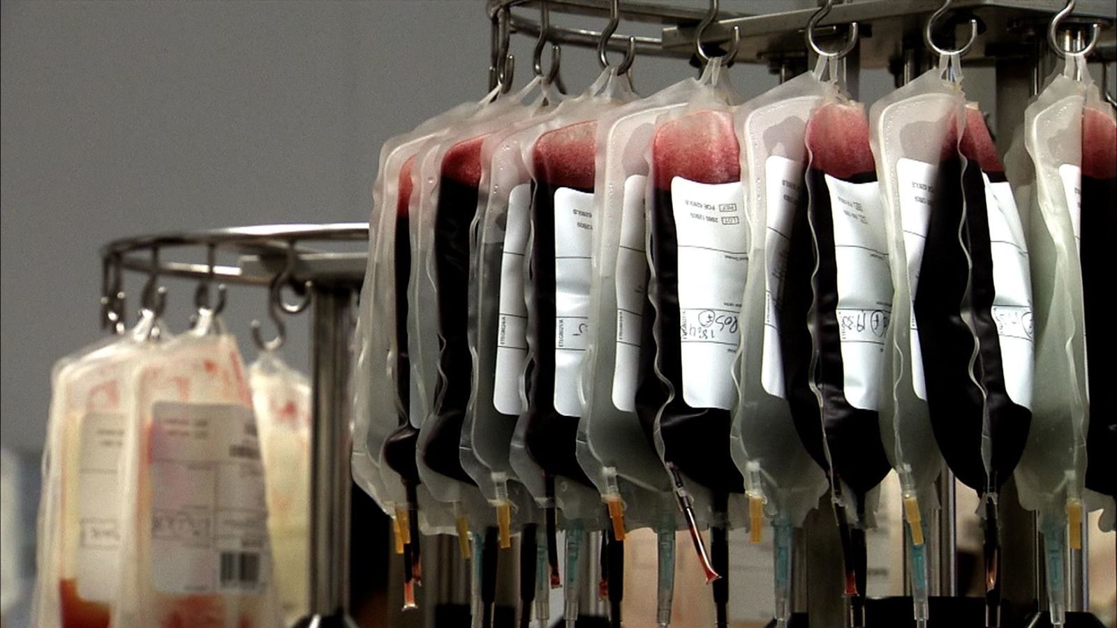 blood
