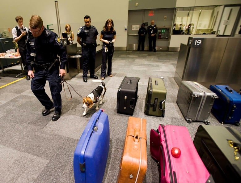 Click to enlarge Drug-sniffing dog