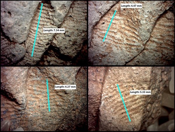 Click to enlarge Finger print