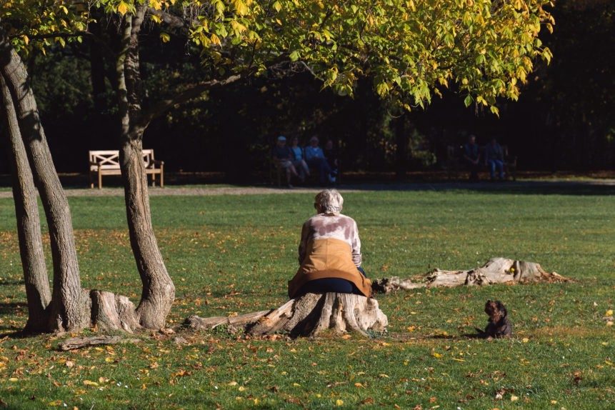 contemplation sit tree