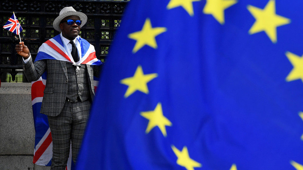 brexit protester